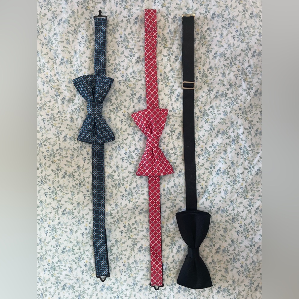 Pre-tied bow ties (3)